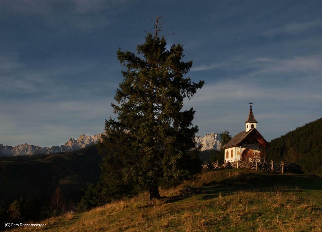 Chalet Im Dorf Goldegg Eksteriør bilde